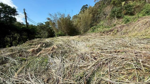 新竹關西建地_山坡地-8