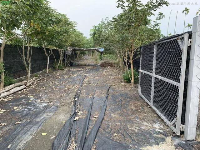 屏東高樹農地-5