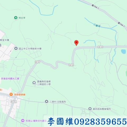 嘉義民雄法拍農地-4