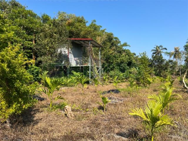 高雄旗山農地-8