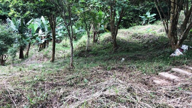 新竹關西農地_山坡地_休閒地-10