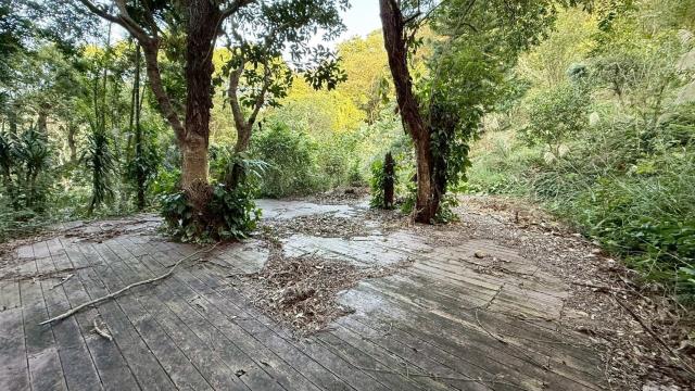 新竹關西農地_山坡地_休閒地-15