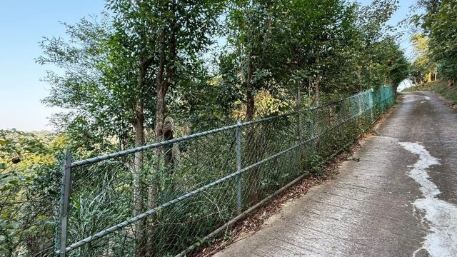 新竹關西農地_山坡地_休閒地-2