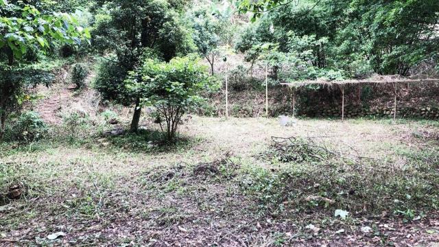 新竹關西農地_山坡地_休閒地-6