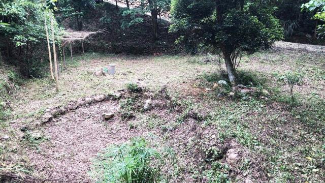 新竹關西農地_山坡地_休閒地-7