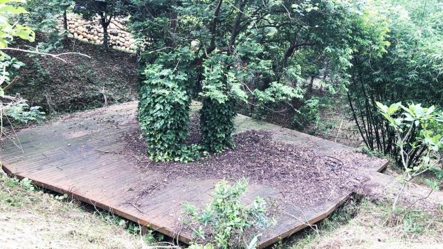 新竹關西農地_山坡地_休閒地-8