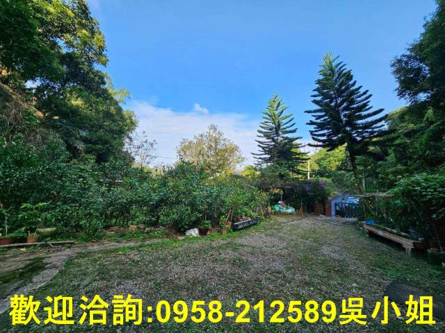 新埔山坡地_休閒地-12