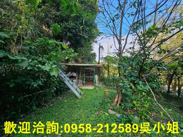 新埔山坡地_休閒地-13