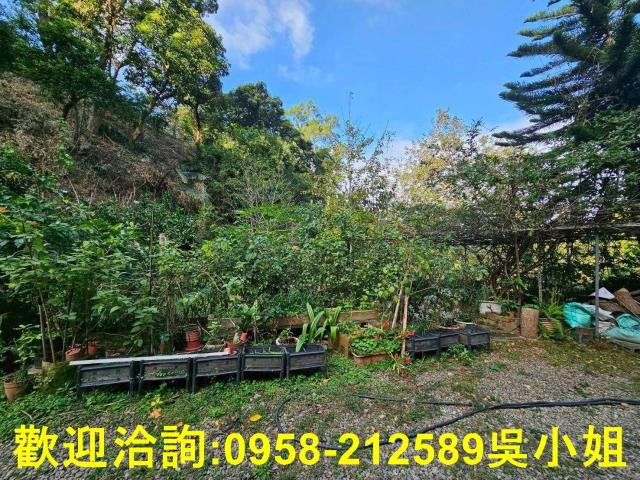 新埔山坡地_休閒地-15