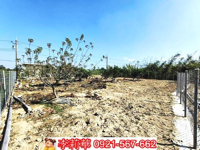 台南關廟農地-7