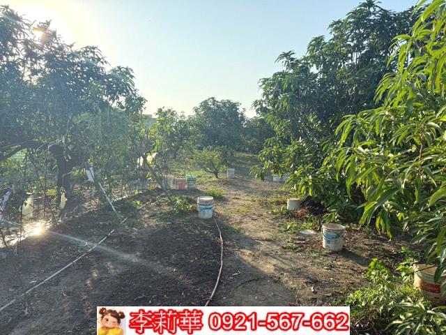 台南安定農地-8