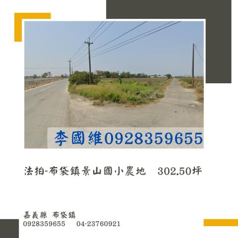 嘉義布袋法拍農地-1