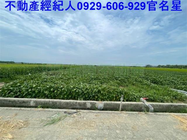 嘉義農地-2