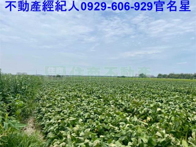 嘉義農地-5