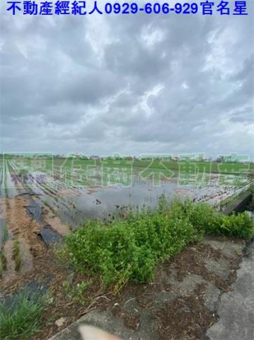 嘉義農地-5