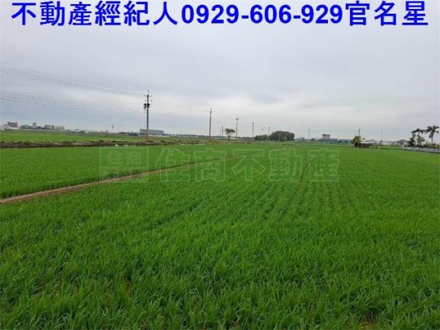 嘉義農地-2