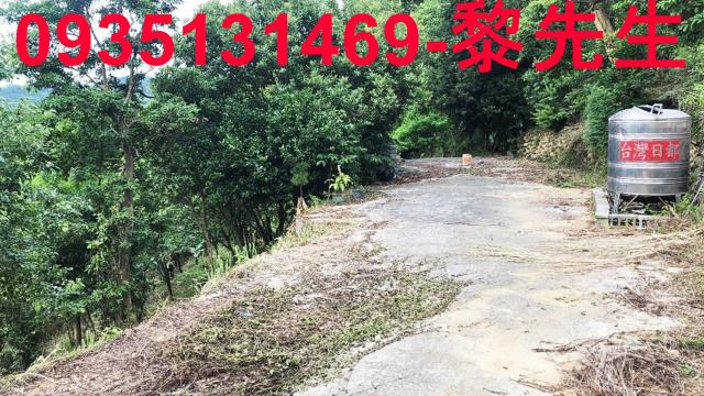 新竹關西農地-13