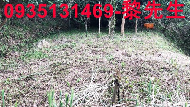 新竹關西農地-6