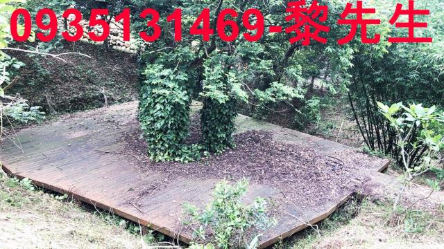 新竹關西農地-9