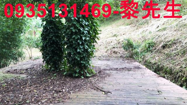 新竹關西農地-8