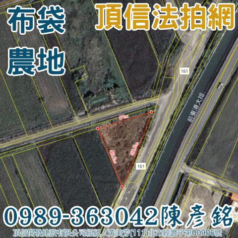 嘉義布袋法拍農地_休閒地-4