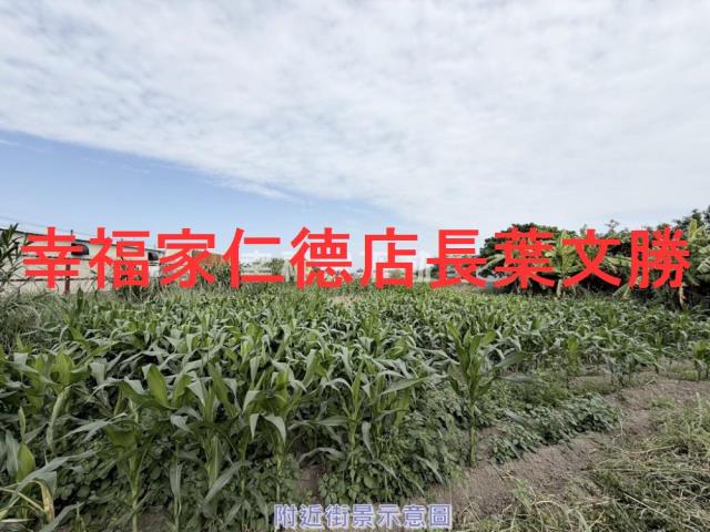 台南佳里農地-12