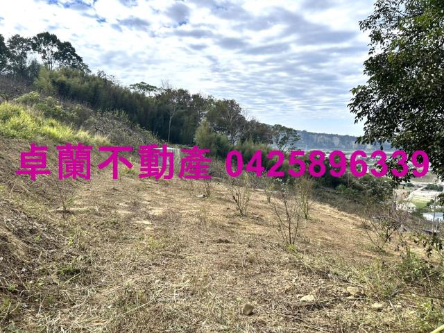 苗栗卓蘭農地-13