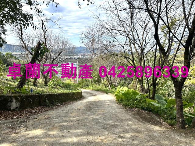 苗栗卓蘭農地-6