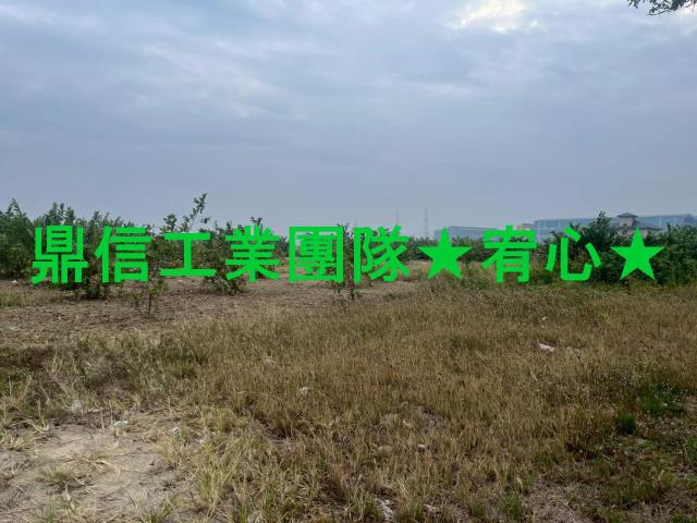 湖內農地_養殖地-2