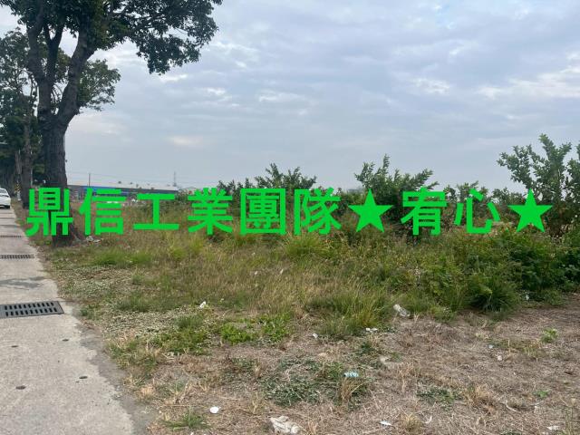 湖內農地_養殖地-5