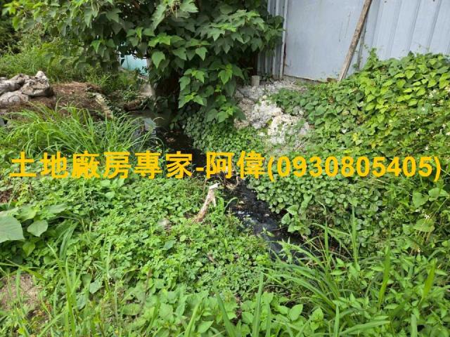 高雄林園農地-1