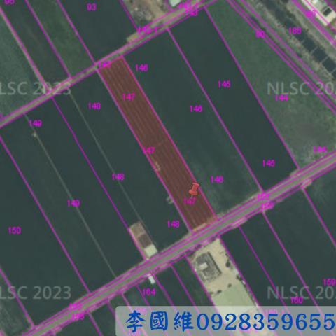 嘉義民雄法拍農地-3