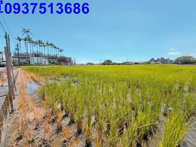 宜蘭五結農地-2