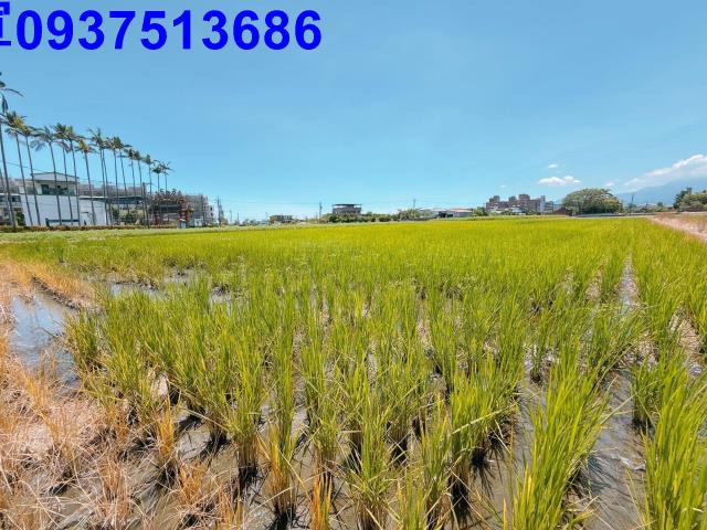 宜蘭五結農地-3