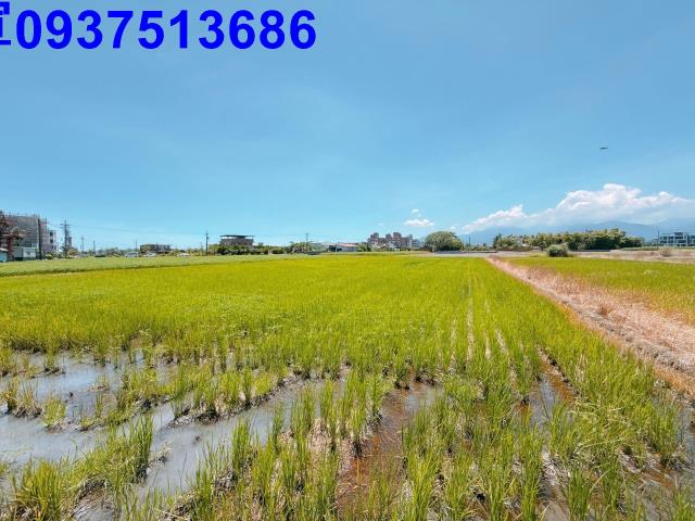 宜蘭五結農地-9