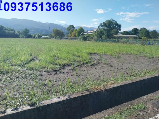 宜蘭三星農地-11