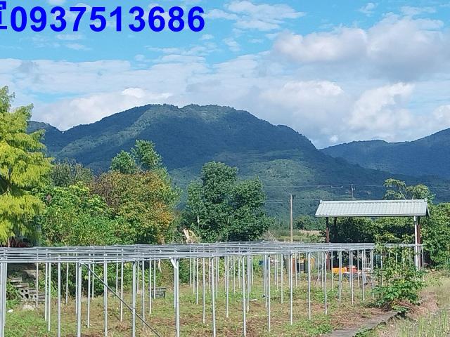 宜蘭三星農地-9