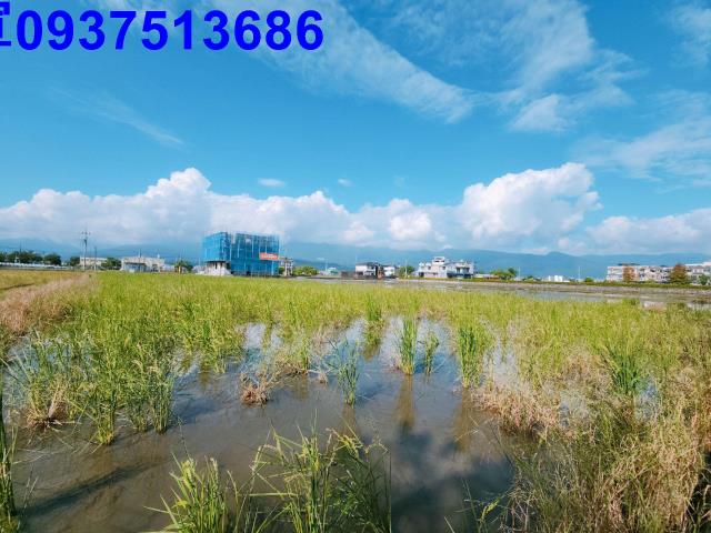 宜蘭礁溪農地-4