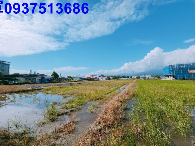 宜蘭礁溪農地-5