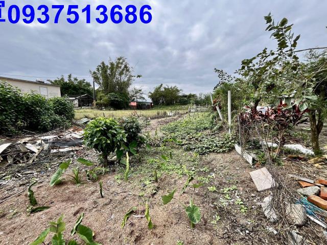 宜蘭壯圍農地-4