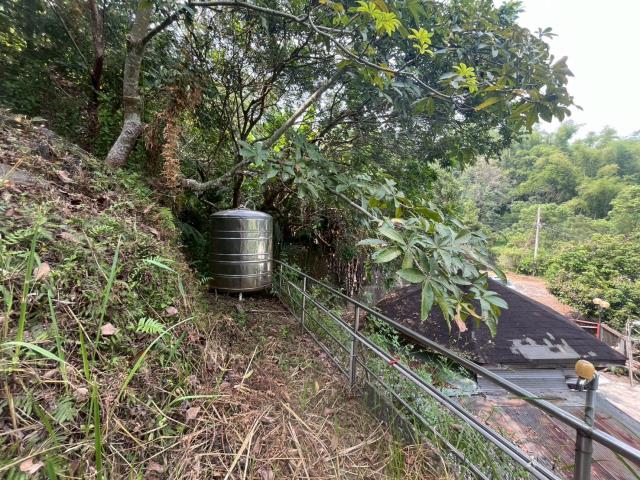 太平山坡地_林地-13