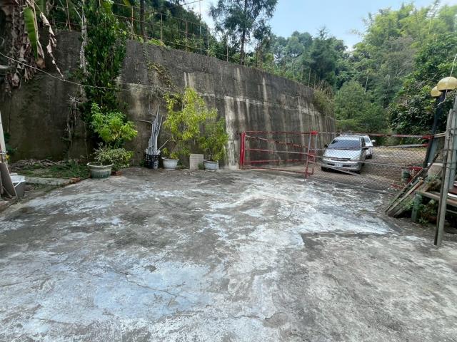 太平山坡地_林地-14