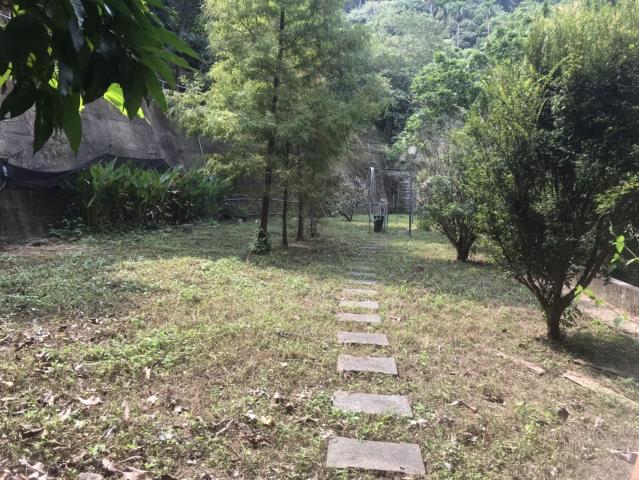 太平山坡地_林地-15