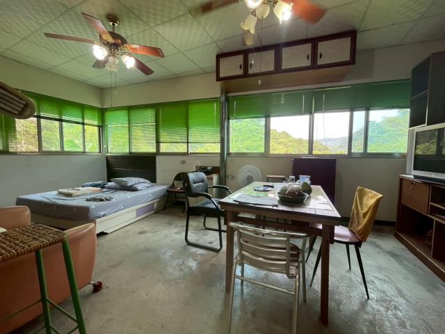 太平山坡地_林地-4