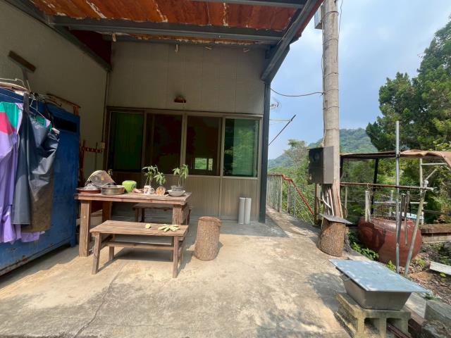 太平山坡地_林地-7