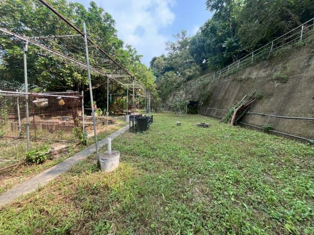 太平山坡地_林地-8