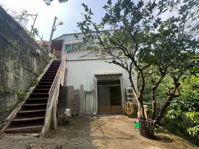 太平山坡地_林地-9