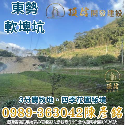 東勢農地_山坡地_休閒地-3