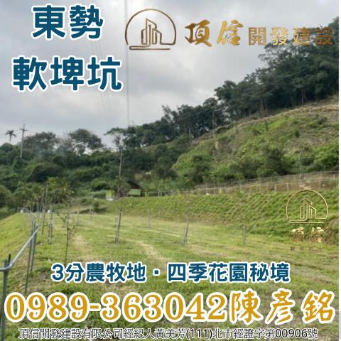 東勢農地_山坡地_休閒地-4