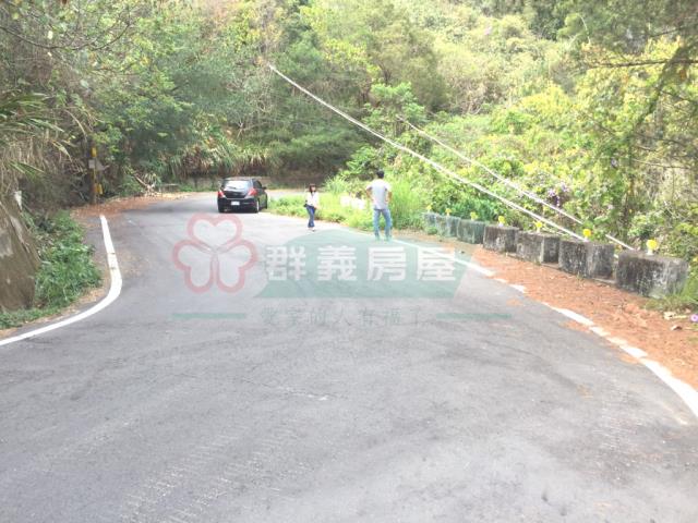 太平山坡地_林地-10